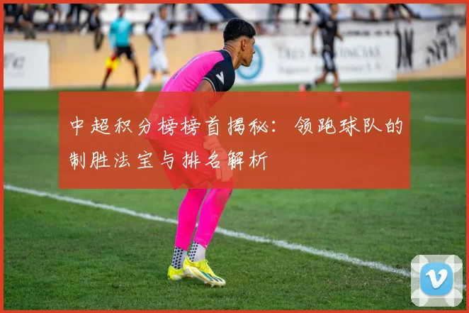 中超积分榜榜首揭秘:领跑球队的制胜法宝与排名解析
